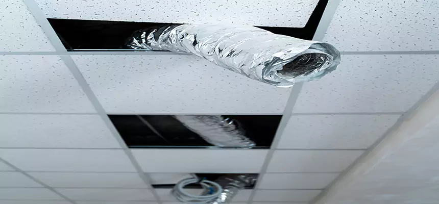 Affordable HVAC Sanitizing After Pest Removal in Ashland