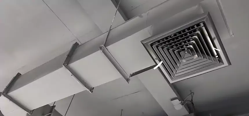 Our Pest Removal From Ducts Services in Ashland, KY