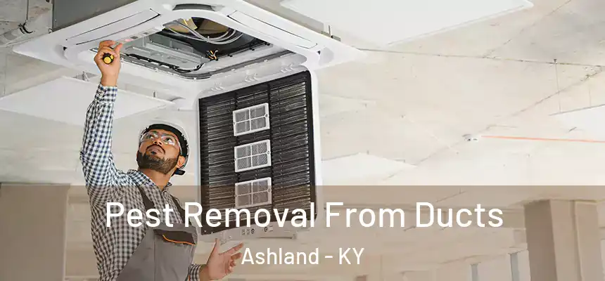  Pest Removal From Ducts Ashland - KY
