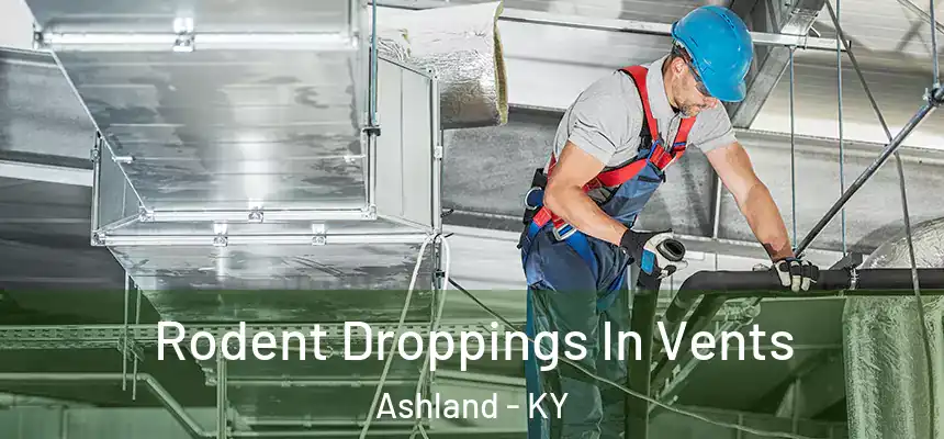  Rodent Droppings In Vents Ashland - KY