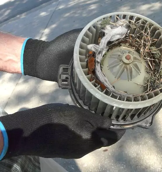 About Air Duct Mice Removal in Ashland, KY