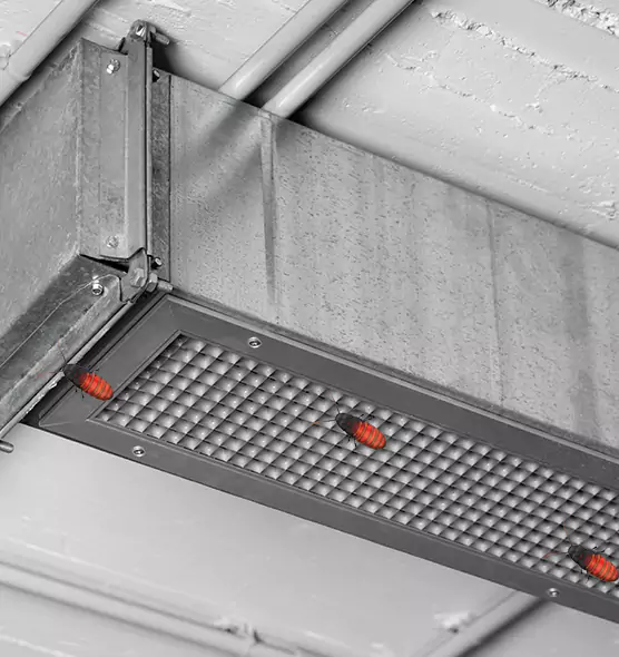 Affordable Insect Removal from Air Ducts in Ashland, KY