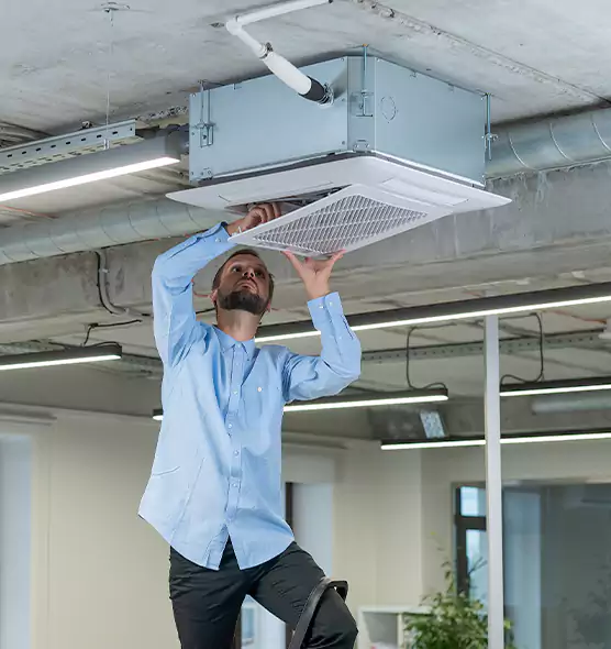 Advanced Rodent Droppings In Vents in Ashland, KY