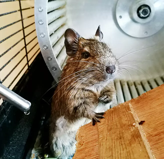 Why Homeowners & Businesses Trust Us Ashland, KY