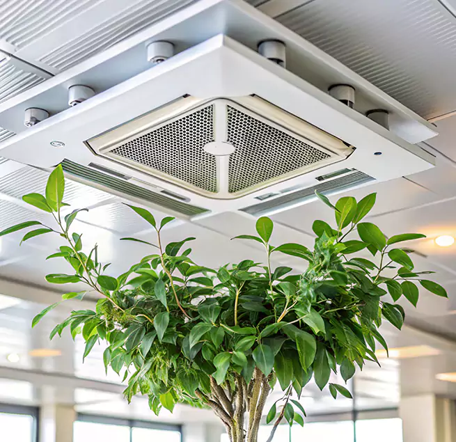 Why Homeowners & Businesses Trust Us in Ashland, KY?